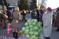 В субботу, 7 ноября, в Богучаре на площади Ленина пройдет сельскохозяйственная ярмарка.