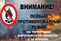 ВНИМАНИЕ! НАПОМИНАЕМ ЖИТЕЛЯМ!С 15 апреля 2021 года постановлением правительства Воронежской области устанавливается особый противопожарный режим