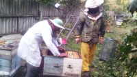 Богучарский пчеловод провел межрегиональный семинар для ветеринаров