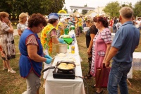В Богучаре состоялся  фестиваль "Богучарский подсолнух"