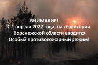С 18 апреля 2022 года на территории Воронежской области вводится особый противопожарный режим!