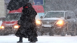 Спасатели предупредили о метелях и снежных заносах в Воронежской области